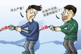 辽宁专业要账公司